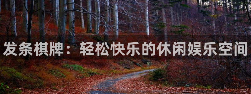 优游国际官网：发条棋牌：轻松快乐的休闲娱乐空间