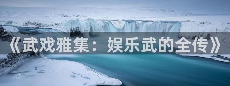 优游国际官网客服电话：《武戏雅集：娱乐武的全传》