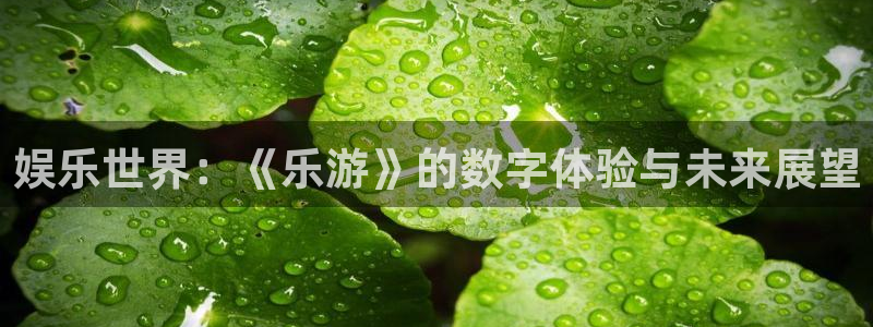 优游国际官网：娱乐世界：《乐游》的数字体验与未来展望