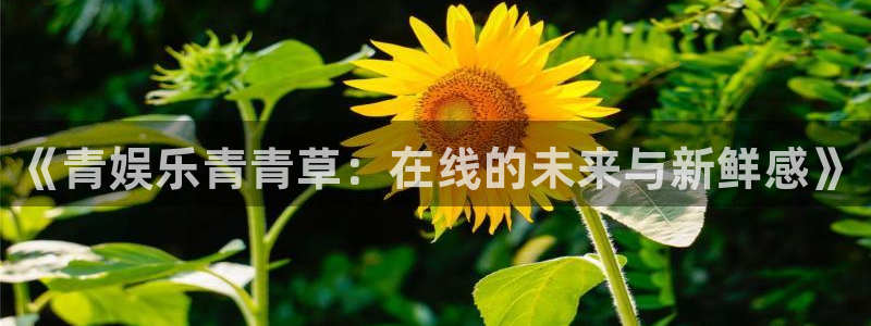 优游国际官网客服电话：《青娱乐青青草：在线的未来与新鲜感》