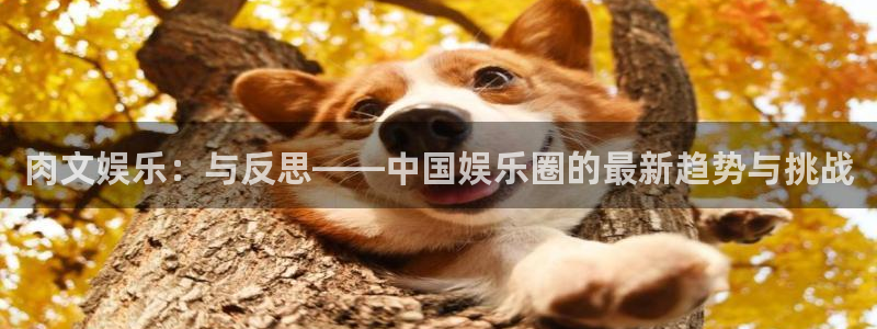 优游国际官网客服电话：肉文娱乐：与反思——中国娱乐圈的最新趋势与挑战