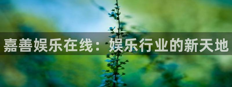 优游国际官网客服电话：嘉善娱乐在线：娱乐行业的新天地