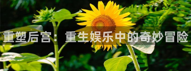 upload/20250701114914.jpg