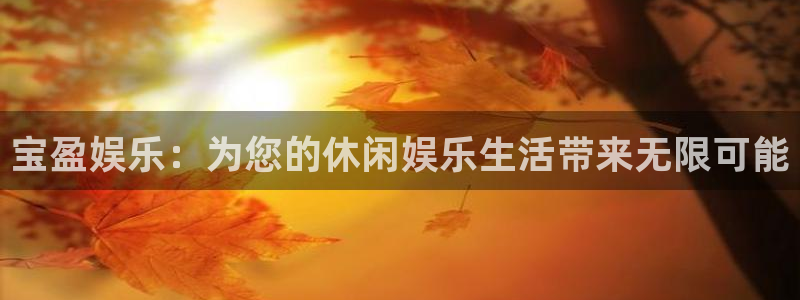 优游国际官网下载：宝盈娱乐：为您的休闲娱乐生活带来无限可能